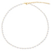 Sheena Dainty Pearl Choker Necklace | Ellie Vail